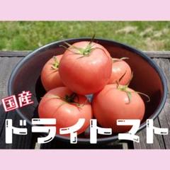 パヤパヤ様専用【国産】ドライトマト 50g プレセール