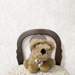 フルハウスの中古 未使用品 メルカリ