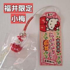 2025年最新】福井ご当地キティちゃんの人気アイテム - メルカリ