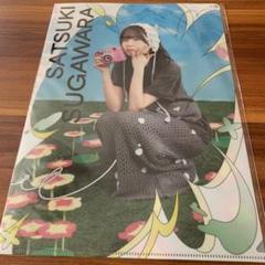 乃木坂46 真夏の全国ツアーカフェ2025 クリアファイル　菅原咲月