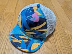 patagonia ダックビル トラッカー ハット キャップ TWBG