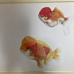 【真作保証】水清公子「蘭鋳」油彩3号 直筆サイン 真筆 絵画 金魚 ランチュウ Amazon.co.jp: 真作保証水清公子「蘭鋳」油彩3号 直筆サイン