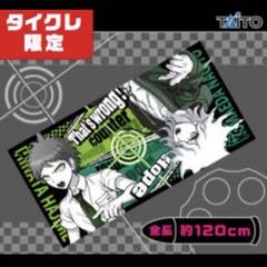 ダンガンロンパ 日向 七海 狛枝 モノミ モノクマ クリアファイル Danganronpa - Plastic Folder (モノクマ＆モノミ＆七海/日向