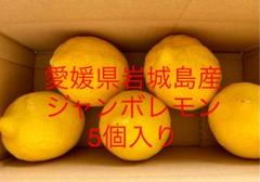 瀬戸内海 岩城島産レモン ジャンボサイズ5個入り