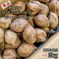 まとめ割15％OFF】種子島産 安納芋 熟成 冷凍焼き芋 3kg 27-33個