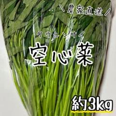 2025年最新】空芯菜 種の人気アイテム - メルカリ
