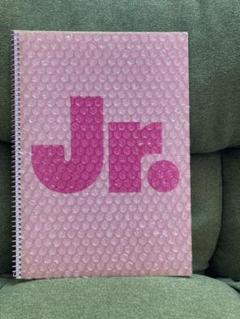 レアJohnny's Jr. Spring コンサート1999 パンフレット Amazon.co.jp: パンフレット ジャニーズJr. 1999「Fresh Spring