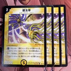 (管理番号4451)碧玉草(エメラルド・グラス)×4のサムネイル