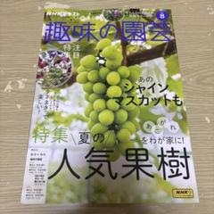 最新号　趣味の園芸　2025年8月号　NHKテキスト