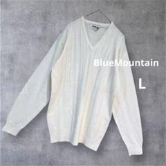 ＊BlueMountain＊Vネックニット セーター ケーブル編み クリーム Lのサムネイル