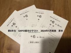 サピックス　2017年度　6年生テストフルセット 2025年最新】サピックス 新6年組分けテストの人気アイテム