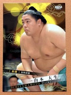 一山本 大相撲カード 2025