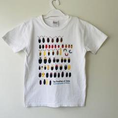 ホタルのイラストTシャツ 130サイズ★170