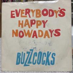 BUZZCOCKS パンク天国　uk punk power pop