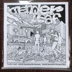 【未使用 限定7”】☆入手困難 ハワイ産AOR名曲☆ Tender Leafのサムネイル