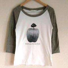 archi ラグランTシャツ
