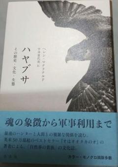 ハヤブサ その歴史・文化・生態