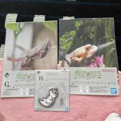 爬虫類＆両生類 Tiny Friends vol.2 G賞 H賞 10点