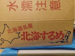 ダイエットにも最適な大好評珍味　前浜するめS足【大容量1.6kg】 大容量:1.6kg】ダイエットにも最適な大好評珍味 前浜するめ足