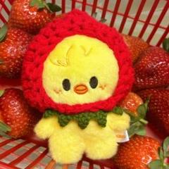 skzoo ポガリ　10cmぬい服　ぬい活　いちご　帽子　スキズー
