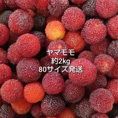 ヤマモモ 2kg クール便 送料込み 冷凍 2025年最新】ヤマモモ 冷凍の人気アイテム - メルカリ