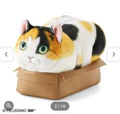 はみ出たボディーに癒やされる　その箱絶対小さいよポーチの会 猫部のサムネイル