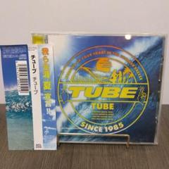 【美品】TUBE　チューブ