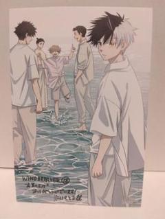 Cocco樣　WIND BREAKER 11〜18巻　特典　イラストカード他 WIND BREAKER 4月7日より全国書店で描き下ろし11巻購入特典を配布!