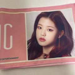 IZONE IVE ウォニョン ファイル 写真 タオル まとめ売り ♡おまけ付 IZONE IVE ウォニョン ファイル 写真 タオル まとめ売り