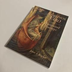 洋書　レメディオス・バロ Amazon.co.jp: 洋書英語版 資料集 レメディオスバロ : おもちゃ