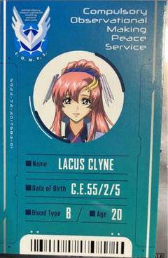 2025年最新】ガンダムseed カード ラクスの人気アイテム - メルカリ