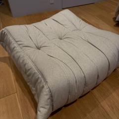 ligne roset (リーン・ロゼ) ROSETTogo(ロゼトーゴ) パフ