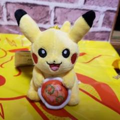 ポケモンセンターナゴヤ ピカチュウ新品 - メルカリ