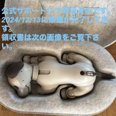 SONY Aibo　ERS-1000/WJ1本体　★初期化済み\動作確認済み★ 2022 NEW Sony New AIBO ERS-1000 Entertainment Robot Dog