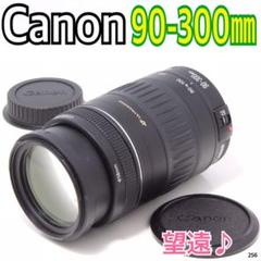 ✨大迫力の望遠レンズ✨キヤノン Canon EF 90-300mm