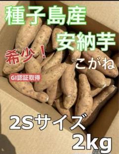 安納芋　こがね　17㎏ fit=scale-down,w=1200