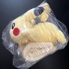 【超激レア】初期ピカチュウ TOMY ぬいぐるみ 2体セット ピカチュウ ぬいぐるみ 初期 TOMY トミー レア 希少