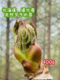 激安 超特価商店街  2025年最新】天然 メルカリ - タラの芽の人気アイテム 野菜