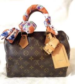 Louis Vuitton 非売品 展示会招待ネームプレートケース LouisVuitton ルイヴィトン カードケース 名刺入れ(504648495