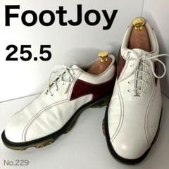 フットジョイ　ゴルフシューズ　メンズ　25.5cm