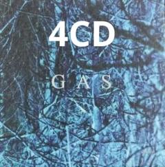 GAS Nah Und Fern 輸入盤4CD WOLFGANG VOIGT 61e6mWnExzL._UF1000,1000_QL80_.jpg