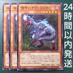☆大福さま専用☆　エラー  廃棄 流出品  魂喰いオヴィラプター 遊戯王 英語 51Tz9mdv9iL._AC_SY200_QL15_.jpg