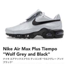 Nike Air Max Plus Tiempo 31センチ tiempo Nike AIR MAX PLUS(ナイキ エアマックスプラス) 靴