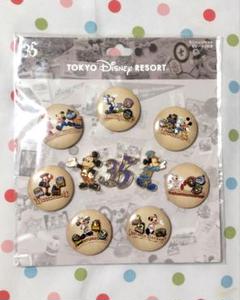 ディズニー 35周年 ピンバッジ コンプセット 東京ディズニーリゾート 35周年缶バッジセットピンバッジ付き