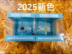 2025年最新】コイケ17mmの人気アイテム - メルカリ