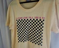 ディオールオム Tシャツ dior homme エディスリマン