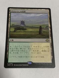 吹きさらしの荒野 mtg 他言語 サインド ロシア語 フェッチランド 4枚セット 吹きさらしの荒野 mtg 他言語 サインド ロシア語 フェッチランド