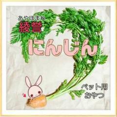 家庭菜園 ★ にんじん (ペット用)