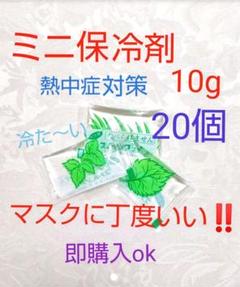 へ* 保冷剤 ミニ 冷たい 涼しい クール 熱中症対策 保冷剤ポケット