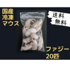 国産冷凍マウス ファジー 100匹 (送料無料一部地域発送不可) thepern_mousefuzzyx10